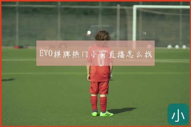 EVO棋牌热门小窗直播怎么找